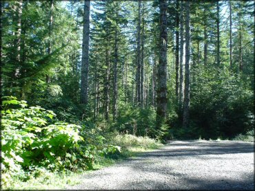 RV Trailer Staging Area and Camping at Blue Ridge Trails