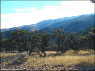 Scenic view of Hunter Lake Trail