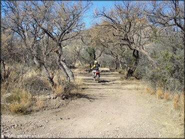 Honda CRF Motorcycle at Red Springs Trail