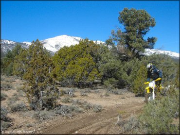 OHV at Ward Charcoal Ovens State Historic Park Trail