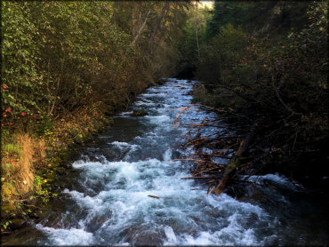 Bird Creek Valley Trail