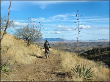 Santa Rita OHV Routes Trail