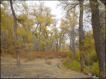 OHV at Peavine Canyon Trail