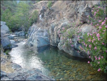 Scenery from Chappie-Shasta OHV Area Trail