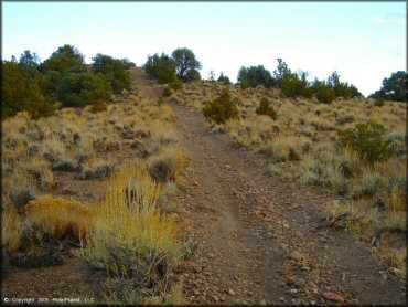 Example of terrain at Mount Seigel OHV Trails