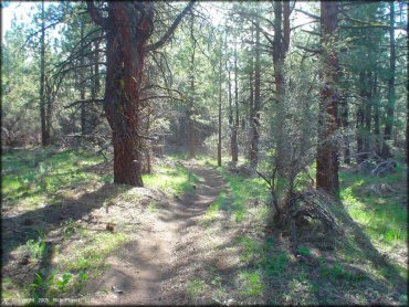 Some terrain at Bull Ranch Creek Trail