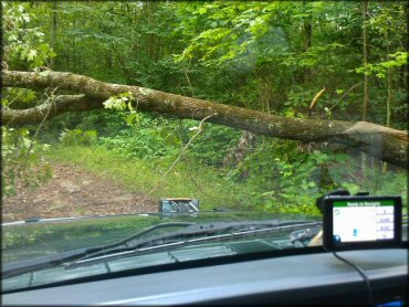 Example of terrain at Rocky Run ATV Trail