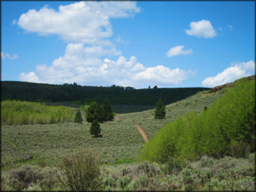 Scenic view of double track ATV trail surrounded by sage brush and juniper trees.