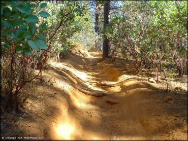 Terrain example at Georgetown Trail