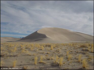 Tonopah Dunes Dune Area