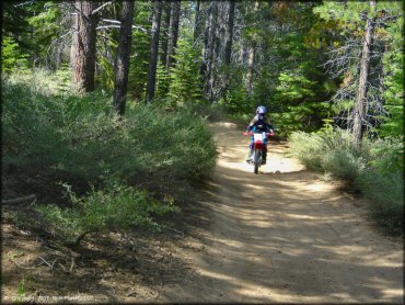 Honda CRF Dirt Bike at Corral OHV Trail