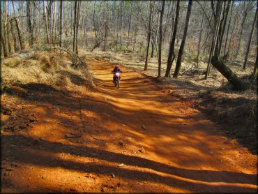 Young man on Honda CRF230F dirt bike riding down wide 4x4 trail.