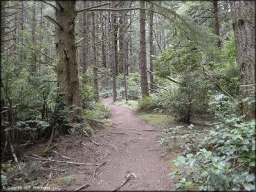 Example of terrain at Winchester Trails