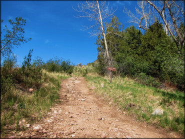 Close up view of rocky 4x4 trail.