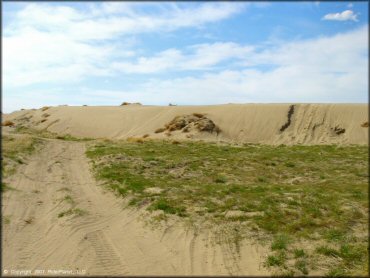 Example of terrain at Winnemucca Sand Dunes OHV Area