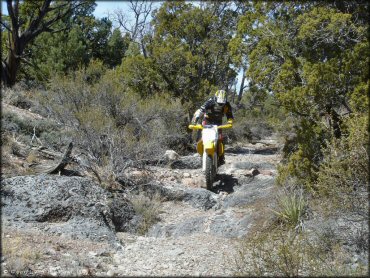 OHV at Chief Mountain OHV Area Trail