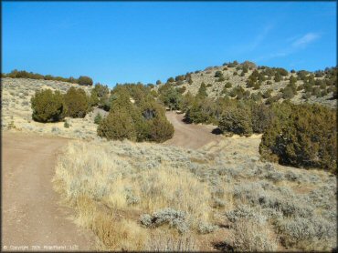 Some terrain at Washoe Valley Jumbo Grade OHV Area