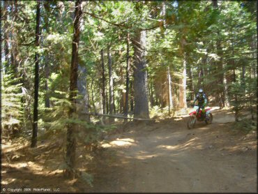 Honda CRF Trail Bike at Gold Note Trails