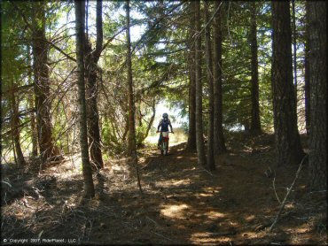 Girl riding a Honda CRF Motorcycle at High Dome Trail