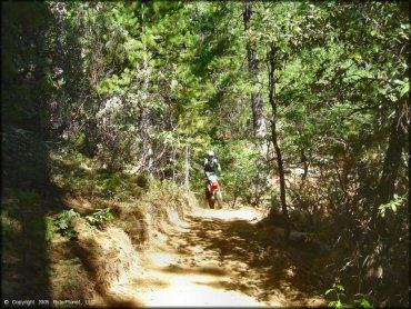 Honda CRF Motorcycle at Interface Recreation Trails