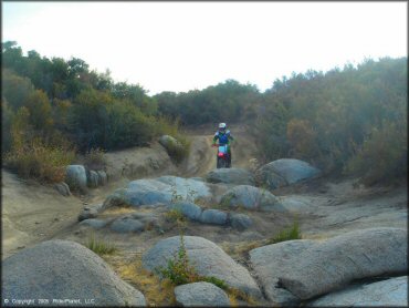 Woman navigating a section of ATV trail on Honda CRF150F.