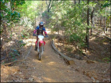 Honda CRF Trail Bike at Georgetown Trail