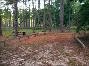 Photo of campsite surrounded by mature pine trees with picnic table, lantern holder and fire ring.