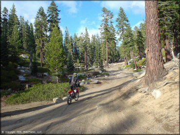 Honda CRF Motorcycle at Genoa Peak Trail