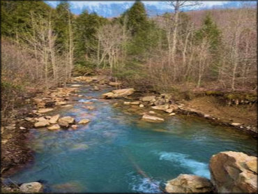 Tackett Creek Trails