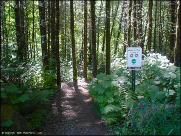 A trail at Jordan Creek Trail