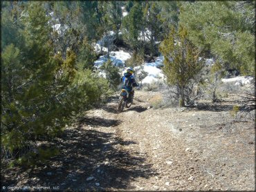 OHV at Ward Charcoal Ovens State Historic Park Trail