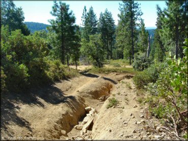 Some terrain at Interface Recreation Trails