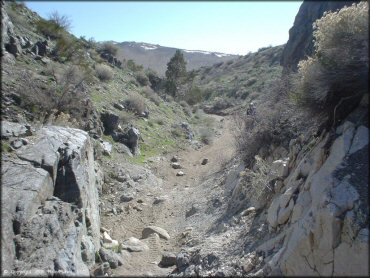 Terrain example at Moon Rocks Trail