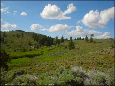 OHV at Bull Ranch Creek Trail