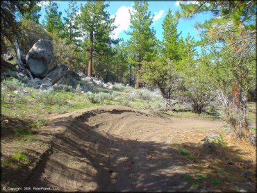 Bull Ranch Creek Trail