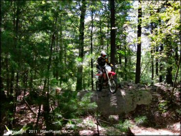 OHV getting air at Franklin Trails