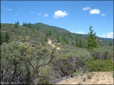 Scenic view of Chappie-Shasta OHV Area Trail