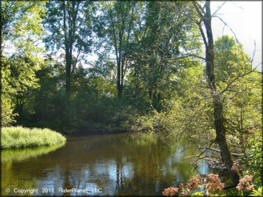Scenery at Camden ATV Trail