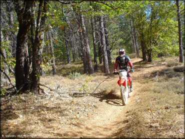 Honda CRF Motorcycle at Georgetown Trail
