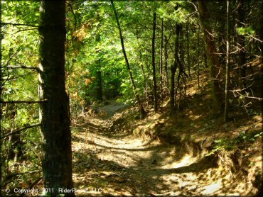 Example of terrain at Freetown-Fall River State Forest Trail