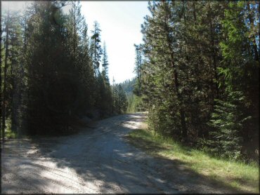 A trail at Winom Frazier OHV Complex Trail