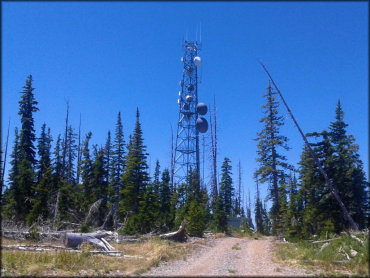 Pine Lake OHV Trail