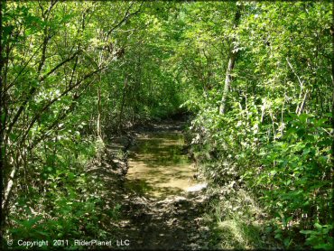 Example of terrain at Wrentham Trails