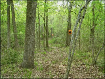 Some terrain at CrossCreek Cycle Park OHV Area