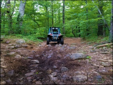 Huckleberry Mountain Horse Trail