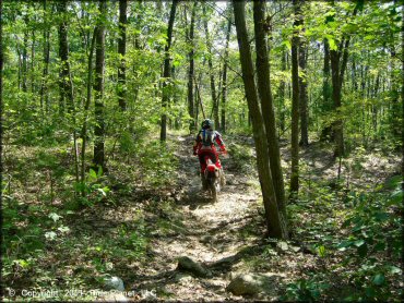 Honda CRF Dirt Bike at Wrentham Trails