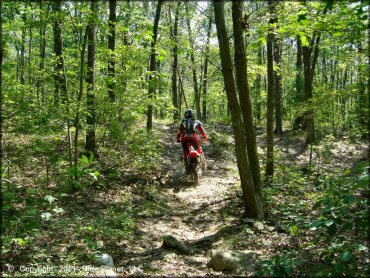 Honda CRF Motorcycle at Wrentham Trails