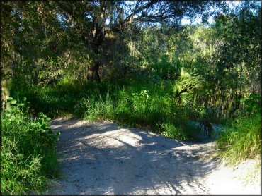 Peace River Campground Trail