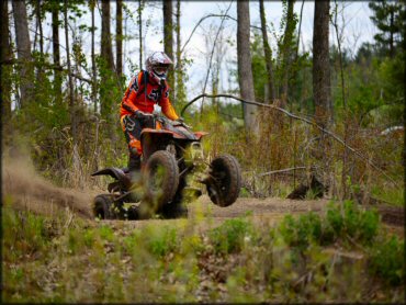 Maumee State Forest Trail