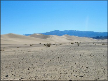 Scenery at Dumont Dunes OHV Area